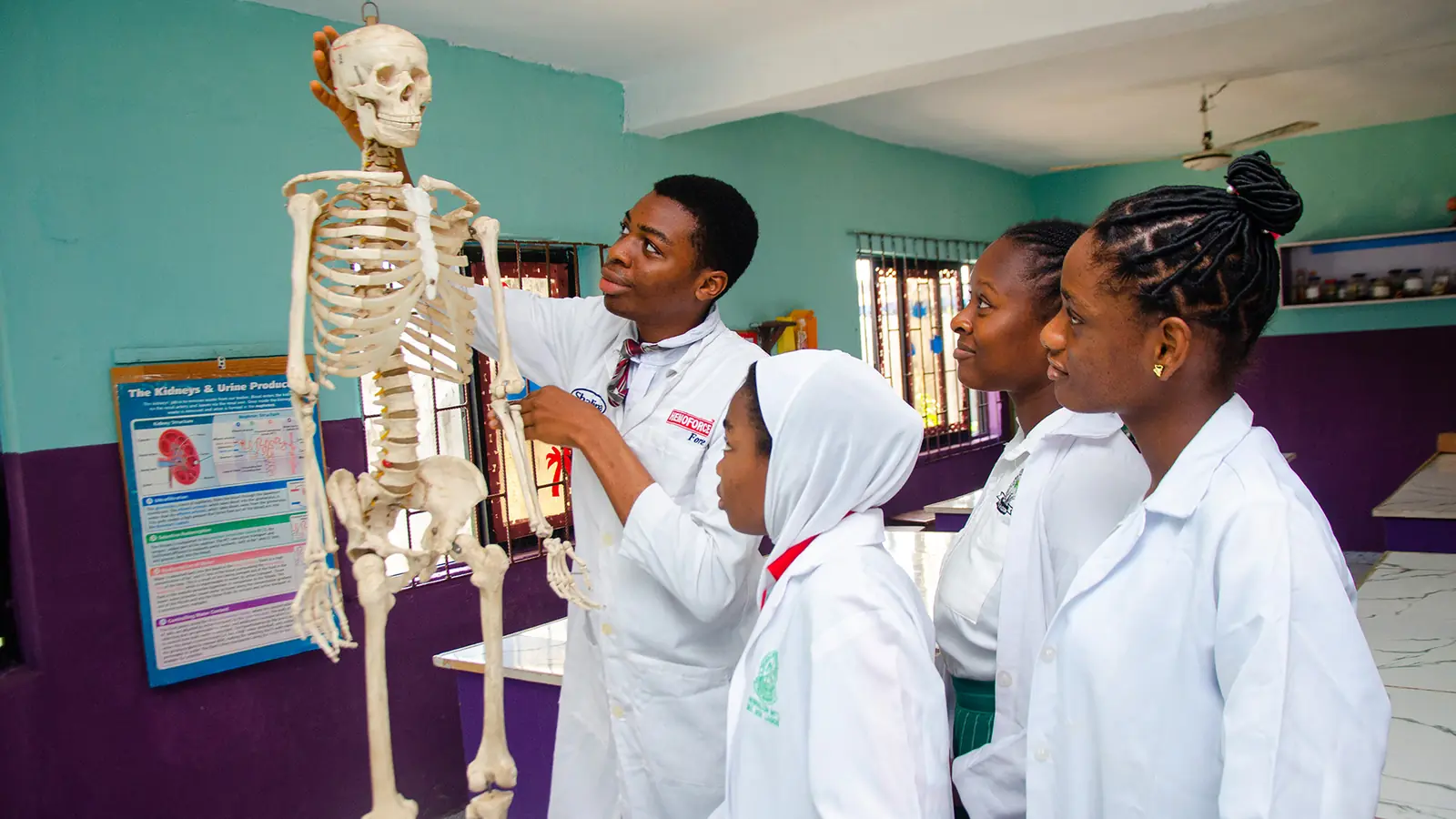 Biology practical with a skeleton model in the Palmville College laboratory